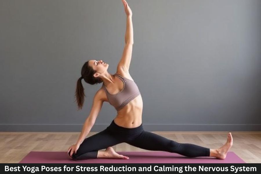Best Yoga Poses for Stress Reduction and Calming the Nervous System