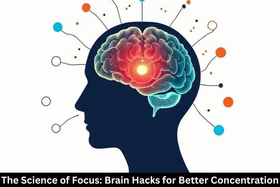 The Science of Focus: Brain Hacks for Better Concentration
